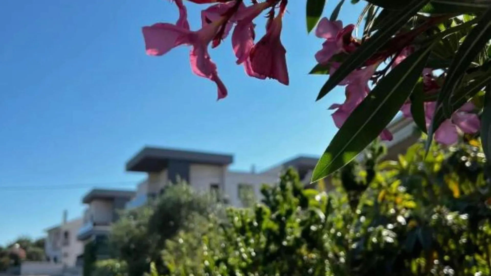 Luxart City Spa Gallery Residence Krk- Duplex Apartment Krk Town